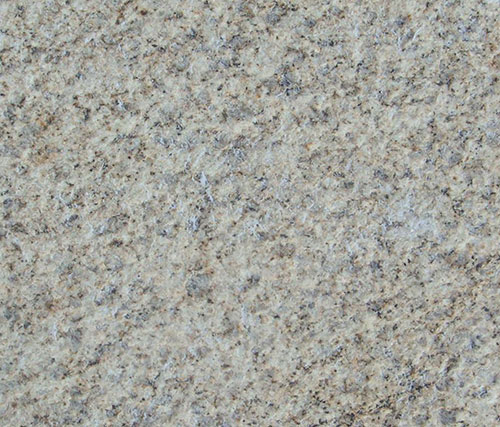 優(yōu)質(zhì)荔枝面