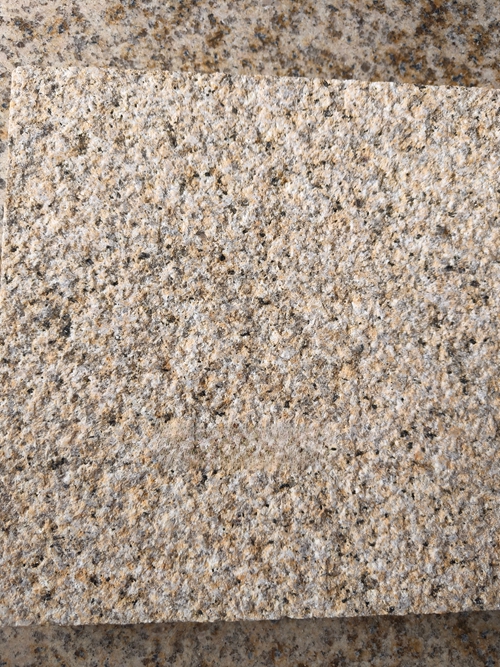 黃銹石荔枝面價(jià)格